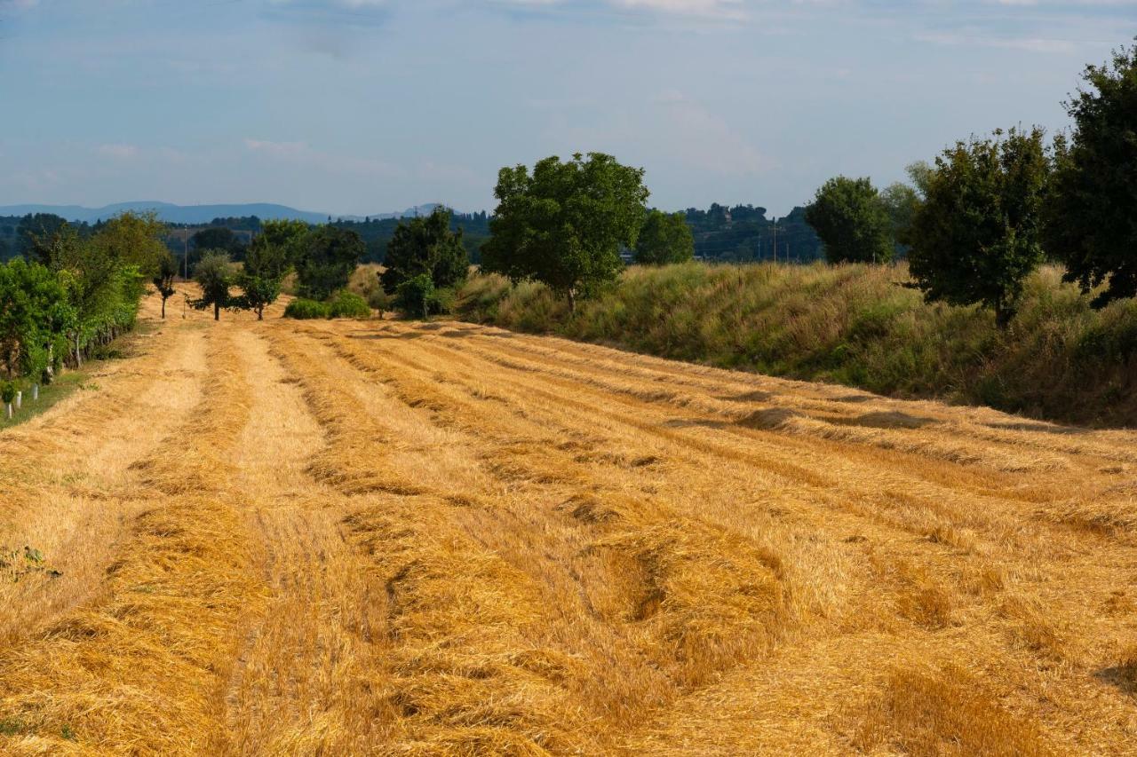 Locazione Turistica Casa Vento Della Toscana Foiano Della Chiana Buitenkant foto